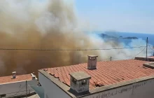 İzmir Dikili’de Orman Yangını: Mavikent Sitesi Tahliye Edildi