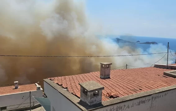 İzmir Dikili’de Orman Yangını: Mavikent Sitesi Tahliye Edildi